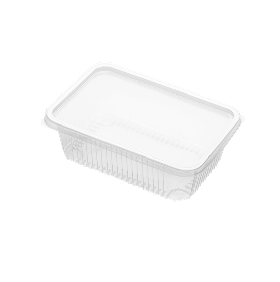 Take Away Container - 500, 750 and 1000 cc